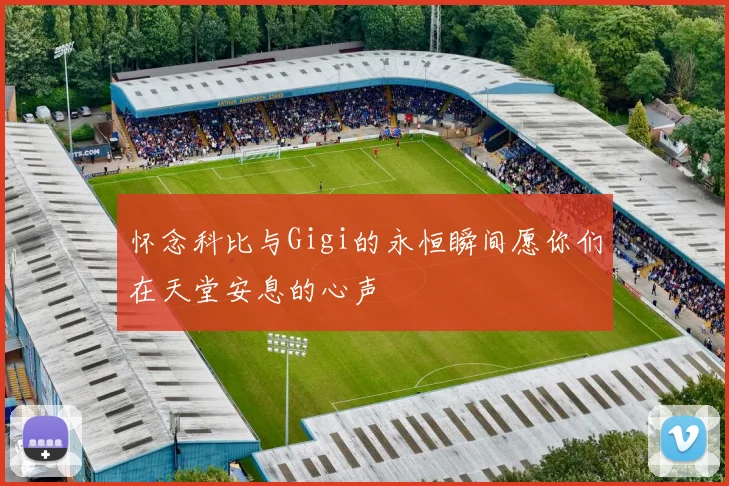 怀念科比与Gigi的永恒瞬间愿你们在天堂安息的心声